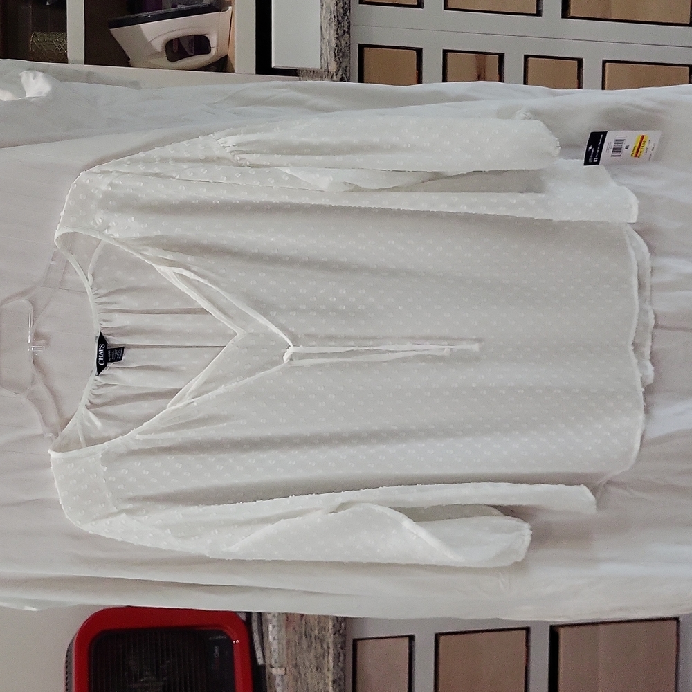 Sheer blouse